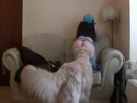 Big ass babe getting dog oral sex from furry dog